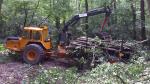 Rückezug / Forwarder - Holzverarbeitungs-Maschinen