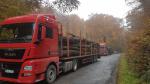 Holztransporter - Transport und Fracht
