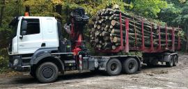 Transport und Fracht 13.10.2023 - 30.11.2023 | Dienste | KASE