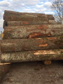 Eiche Furnierrundholz | Hartholz | Rundholz | D&C SNEGL