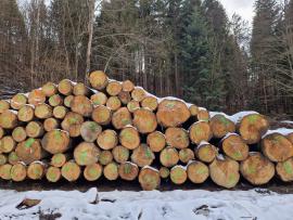 Tanne Sägerundholz | Weichholz | Rundholz | ALBA Forrest s.r.o.