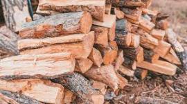 Brennholz Kiefer | Brennstoff, Briketts | SCOPULUS Handels-und Dienstleistungs GmbH