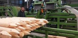 Andere Technik Kompletn výroní Linka kulů . | Sägetechnik | Holzverarbeitungs-Maschinen | Drekos Made s.r.o