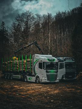 Rungenauflieger 16.07.2024 - 31.12.2024 |  Transport und Fracht | TRANS-WOOD