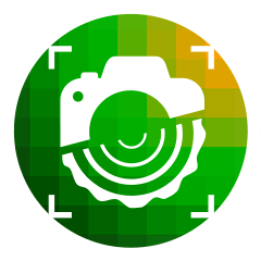 Mobile App
